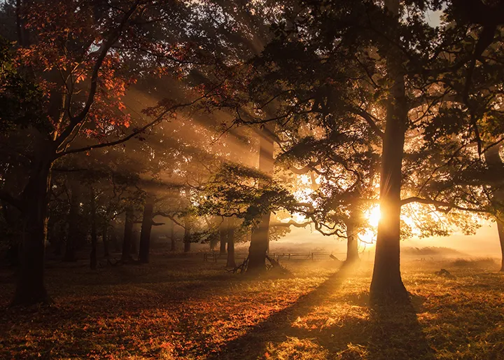 REI Oct 2023 Alternative Lending Private Real Estate Credit